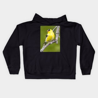 American Goldfinch2 Kids Hoodie